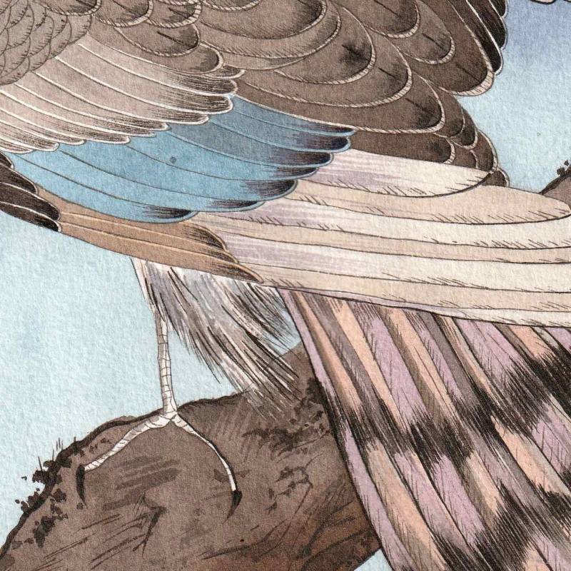 Sokół I TUSZ Pola Karczmarska Sztuka japońska detal