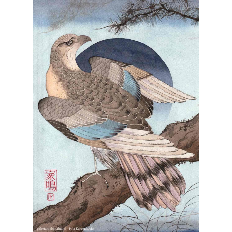 Sokół I TUSZ Pola Karczmarska Sztuka japońska