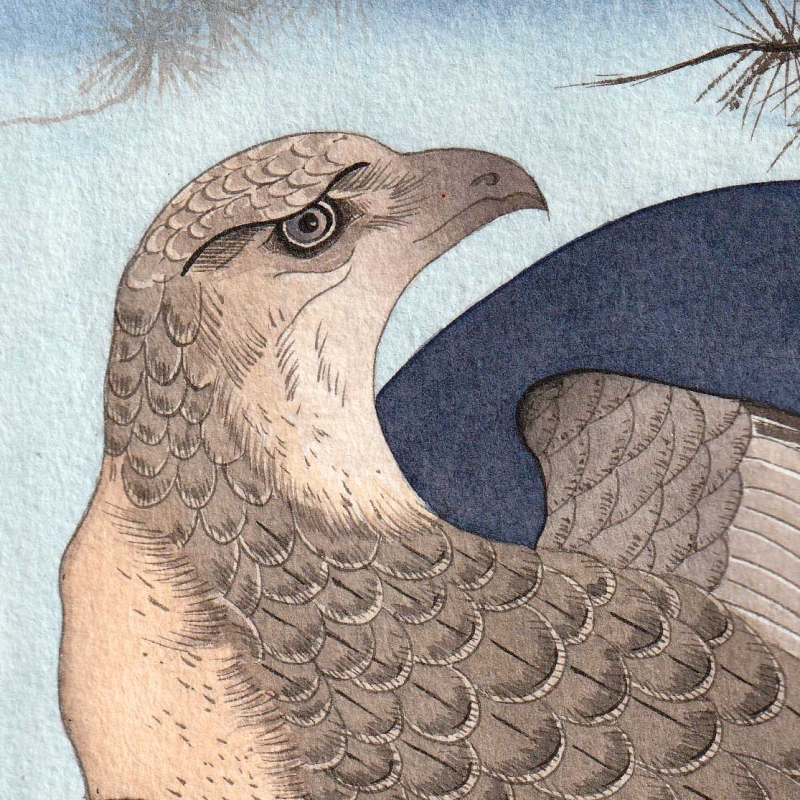 Sokół I TUSZ Pola Karczmarska Sztuka japońska fragment obrazu